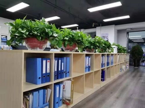 西安咸陽及周邊地區(qū)公司注冊與專業(yè)服務(wù)全解析 從工商注冊到代理記賬、審計、食品勞務(wù)派遣