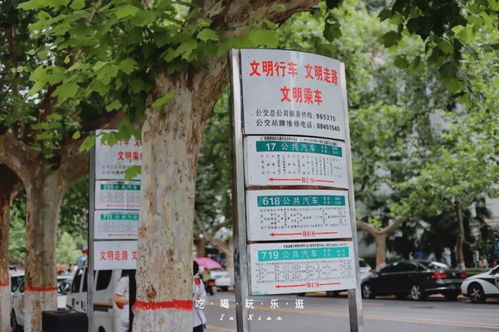 六十二載紅旗飄 北郊國企巨擘的堅(jiān)守與轉(zhuǎn)型之路